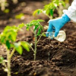 Agro industry