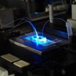 Control of chemical and biological reactions