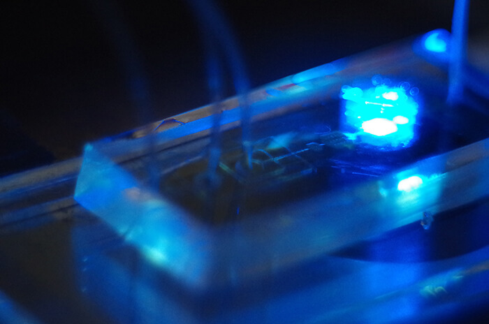 Puce microfluidic