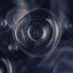 Single cell analysis